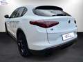 Alfa Romeo Stelvio Alfa Romeo  2.2 t Super Business Q4 190cv a Bianco - thumbnail 5