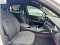 Alfa Romeo Stelvio Alfa Romeo  2.2 t Super Business Q4 190cv a Bianco - thumbnail 11