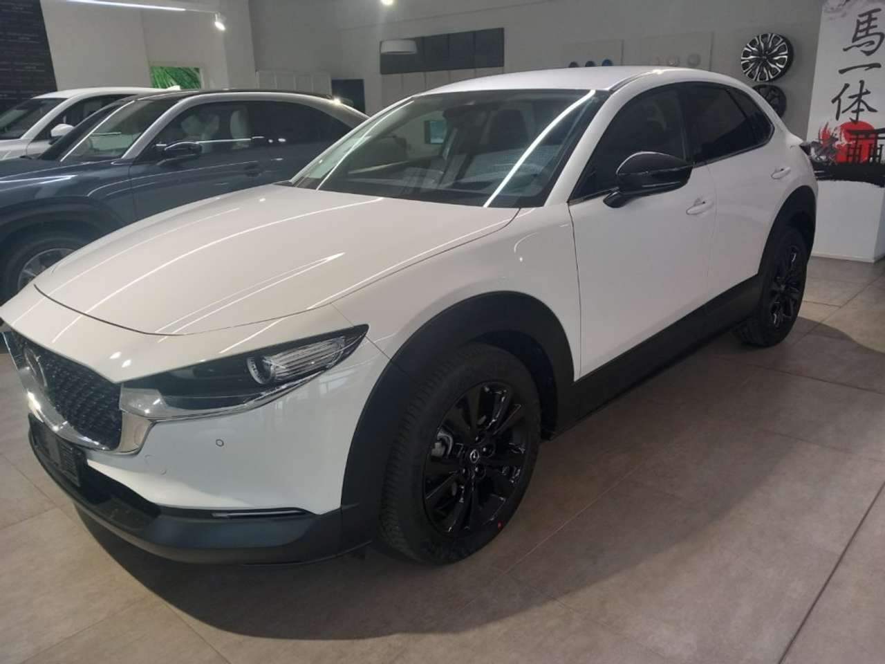 Mazda CX-30 2.5LSkyactiv-G 140cv M Hybrid Homura