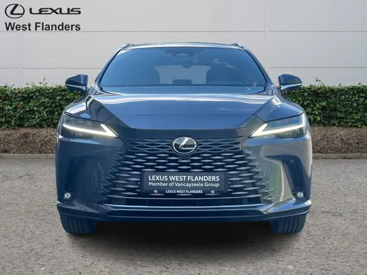 Lexus RX 450h Privilege Line + 360° camera+s Gris - 2