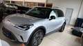 smart #1 66 kWh Premium, warmte pomp, Beats audio, HUD,**** Gris - thumbnail 21