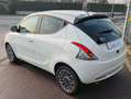 Lancia Ypsilon Ypsilon 2021 1.2 Ecochic Gpl 69cv neopatentati Bianco - thumbnail 6