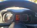 Fiat Panda 1.0 firefly hybrid City Life PROMO FINANZIAMENTO Blanc - thumbnail 12