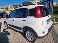 Fiat Panda 1.0 firefly hybrid City Life PROMO FINANZIAMENTO Blanc - thumbnail 4