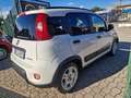 Fiat Panda 1.0 firefly hybrid City Life PROMO FINANZIAMENTO Blanc - thumbnail 6
