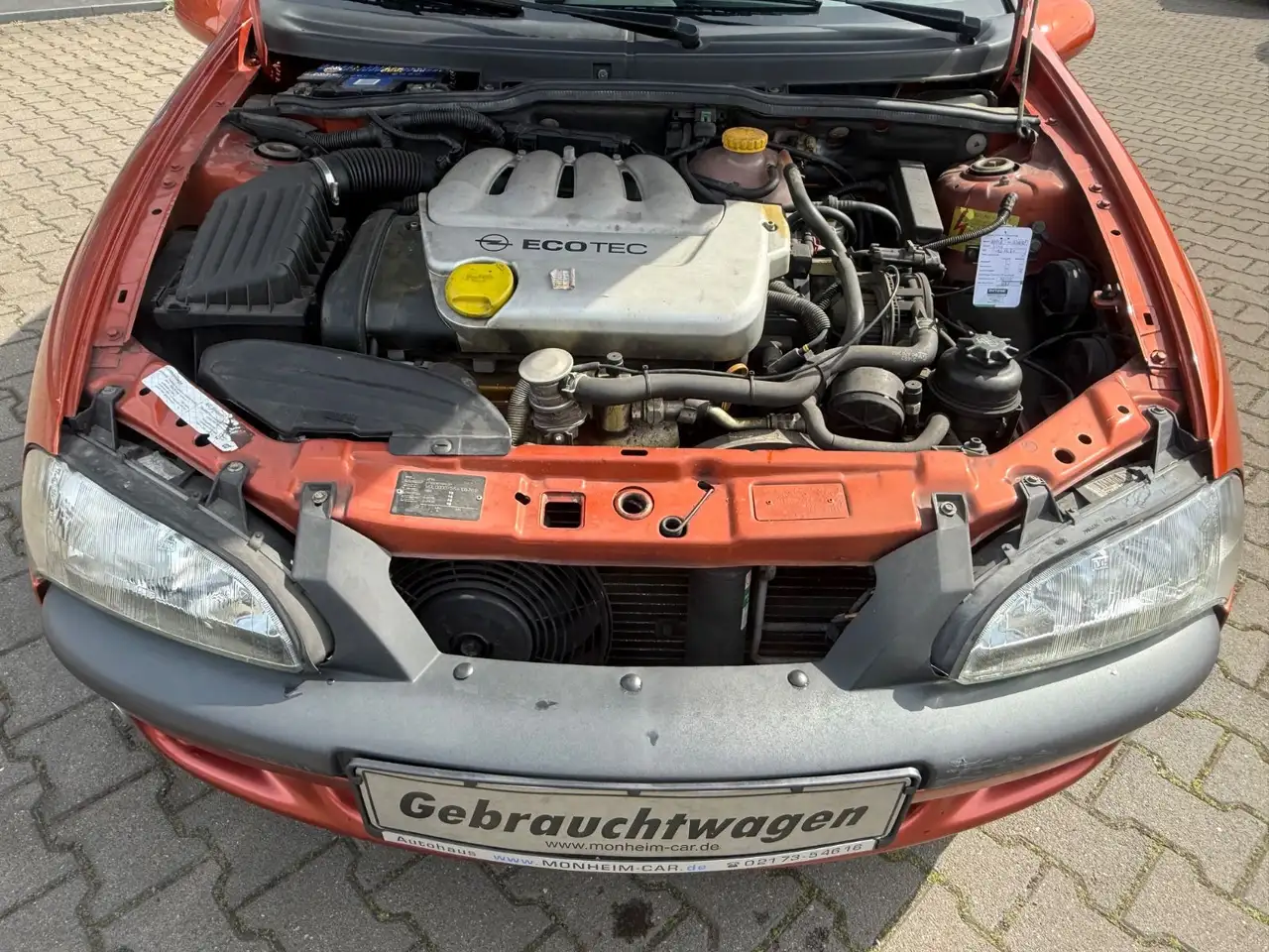 Opel Tigra, foto 8