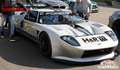 Ford GT 24H Spezial-Rennwagen ex. J. Alzen Motorsport Silber - thumbnail 4