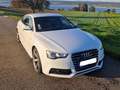 Audi A5 A5 2.0 TDI Sportback quattro DPF S tronic Weiß - thumbnail 4