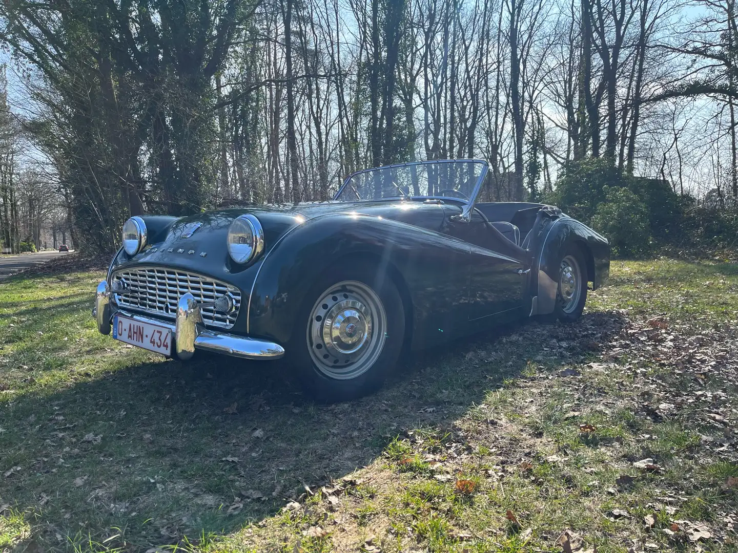Triumph TR3 - 1