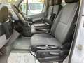 Mercedes-Benz Sprinter 316CDI Maxi Mixto Klim.Standheiz.AHK3,5 Weiß - thumbnail 15