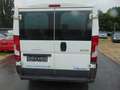 Peugeot Boxer Kasten 330 L2H1 Komfort HDi 110 Blanc - thumbnail 6