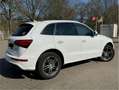 Audi Q5 2.0 TFSI quattro tiptronic s- line Weiß - thumbnail 3