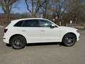 Audi Q5 2.0 TFSI quattro tiptronic s- line Weiß - thumbnail 11