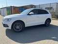Audi Q5 2.0 TFSI quattro tiptronic s- line Weiß - thumbnail 7