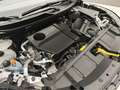 Nissan X-Trail X-TRAIL 1.5 E-POWER 158CV N-CONNECTA E-4ORCE 4WD Weiß - thumbnail 44