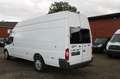Ford Transit Kasten FT 350 EL   LKW Blanc - thumbnail 8