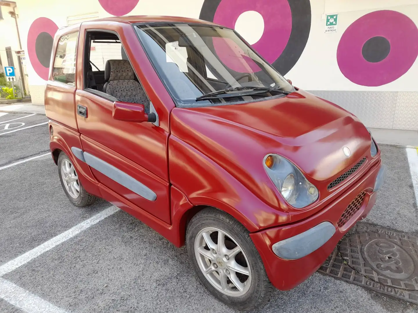 Tasso Bingo Rot - 2