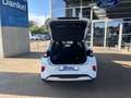 Ford Puma ST Panorama + Winter-Paket Weiß - thumbnail 21