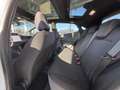 Ford Puma ST Panorama + Winter-Paket Weiß - thumbnail 19