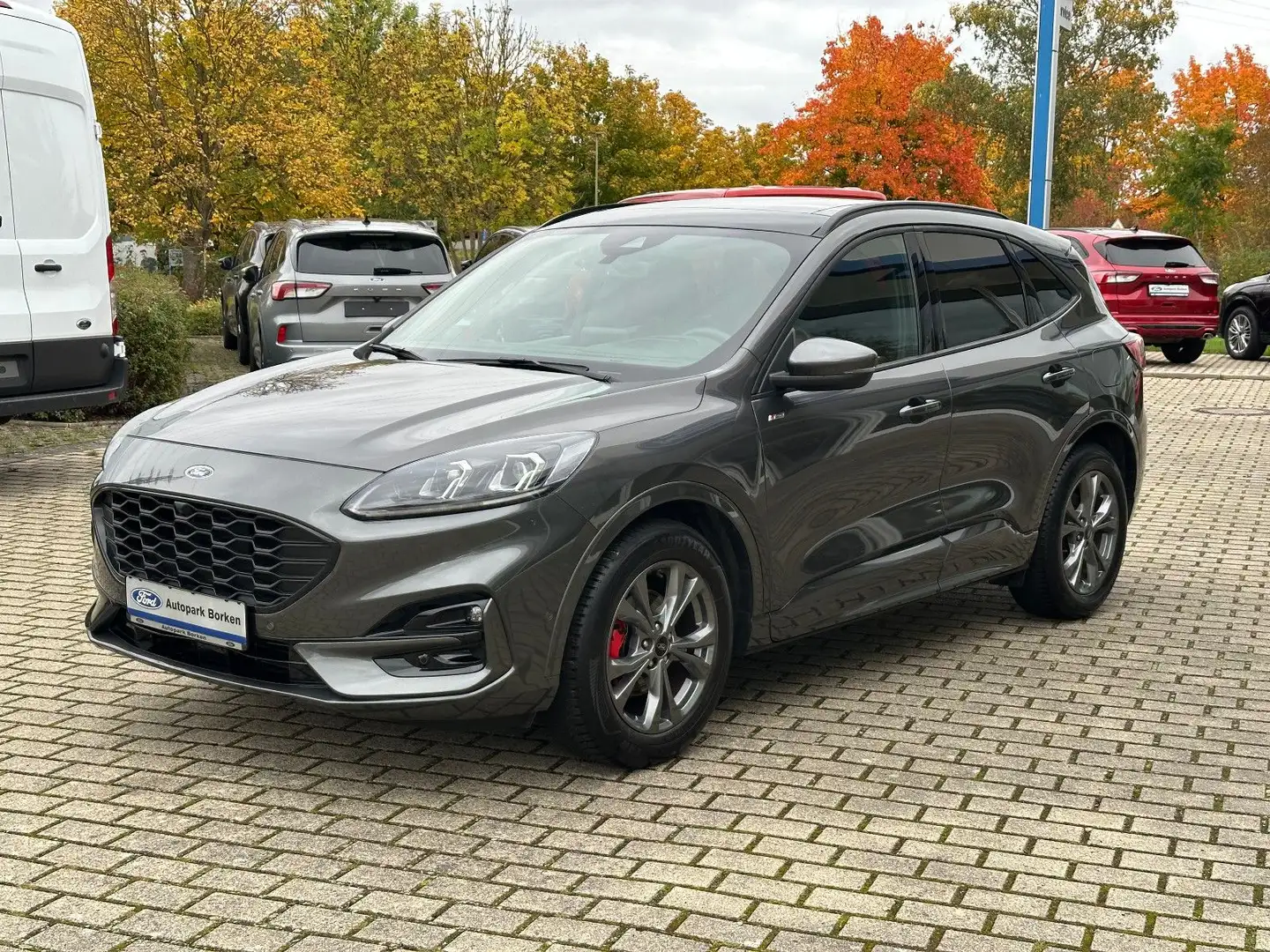 Ford Kuga ST-Line X Panorama Technologie Paket Winter Grau - 1