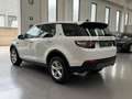 Land Rover Discovery Sport Discovery Sport 2.0 TD4 150 CV HSE Bianco - thumbnail 6