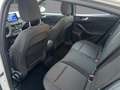 Ford Focus ST-Line LED ACC RFKAMERA Blanco - thumbnail 9