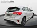 Ford Focus ST-Line LED ACC RFKAMERA Blanco - thumbnail 5