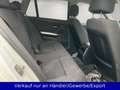BMW 320 320d Touring E91 Weiß - thumbnail 12