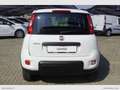 Fiat Panda 0.9 TwinAir Turbo Nat. Power Easy solo Km 12.000 Bianco - thumbnail 5