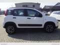 Fiat Panda 0.9 TwinAir Turbo Nat. Power Easy solo Km 12.000 Bianco - thumbnail 4