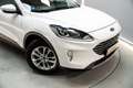 Ford Kuga 2.5 Duratec PHEV ST-Line 4x2 Blanco - thumbnail 12