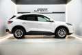 Ford Kuga 2.5 Duratec PHEV ST-Line 4x2 Blanco - thumbnail 7