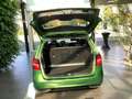 Mercedes-Benz B 200 d AMG - Night - Kamera - LED - Navi Grün - thumbnail 10