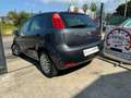 Fiat Punto 5p 1.2 Street (easy) Grigio - thumbnail 5
