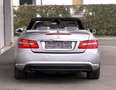 Mercedes-Benz E 220 CDI/Amg/Cabrio/Automaat/Led/Navi/leder/Euro5/ Argent - thumbnail 15