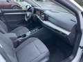Volkswagen Golf VIII 2,0 TDi DSG Life LED Navi Weiß - thumbnail 5