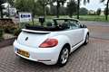 Volkswagen Beetle Cabriolet 1.2 TSI Design BlueMotion NAVI/CRUISE/AI Wit - thumbnail 5
