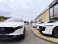 Mazda CX-30 Automatique *** Nagisa *** GARANTIE 6 ANS Blanc - thumbnail 4