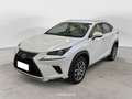 Lexus NX 300 NX Hybrid 4WD Executive FINO A 3 ANNI DI GARANZIA SUPER PREZZO CON ROTTAMAZIONE O SUPERVALUTAZIONE Blanco - thumbnail 1