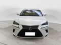 Lexus NX 300 NX Hybrid 4WD Executive FINO A 3 ANNI DI GARANZIA SUPER PREZZO CON ROTTAMAZIONE O SUPERVALUTAZIONE Blanco - thumbnail 2