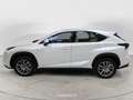 Lexus NX 300 NX Hybrid 4WD Executive FINO A 3 ANNI DI GARANZIA SUPER PREZZO CON ROTTAMAZIONE O SUPERVALUTAZIONE Blanco - thumbnail 4