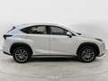 Lexus NX 300 NX Hybrid 4WD Executive FINO A 3 ANNI DI GARANZIA SUPER PREZZO CON ROTTAMAZIONE O SUPERVALUTAZIONE Blanco - thumbnail 5