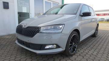 TSI Monte Carlo *NAVI/LED/PANO/SHZG*