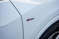 Audi Q2 35 TFSI CoD Sport S line Edition / Nederlandse Aut Wit - thumbnail 8
