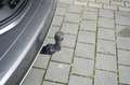 Renault Grand Scenic IV TCe 160 Black Edition 1.Hd AHK ACC HuD Pano BOS Grau - thumbnail 14