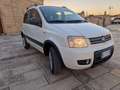 Fiat Panda Panda II  1.2 Climbing 4x4 - thumbnail 1