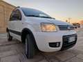 Fiat Panda Panda II  1.2 Climbing 4x4 - thumbnail 8