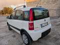 Fiat Panda Panda II  1.2 Climbing 4x4 - thumbnail 10