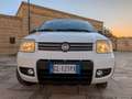 Fiat Panda Panda II  1.2 Climbing 4x4 - thumbnail 2
