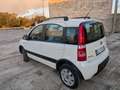Fiat Panda Panda II  1.2 Climbing 4x4 - thumbnail 5